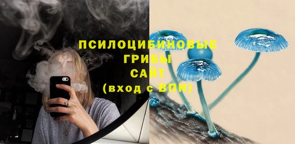 ALPHA PVP Покачи