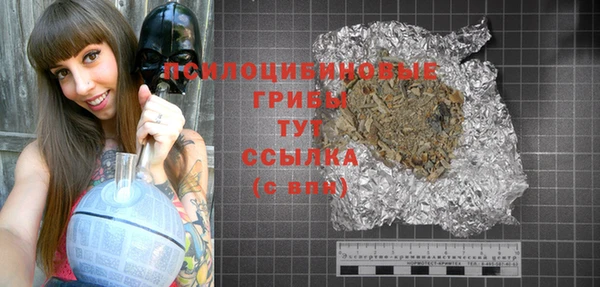 ALPHA PVP Покачи