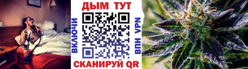 Бошки Шишки планчик Нахабино